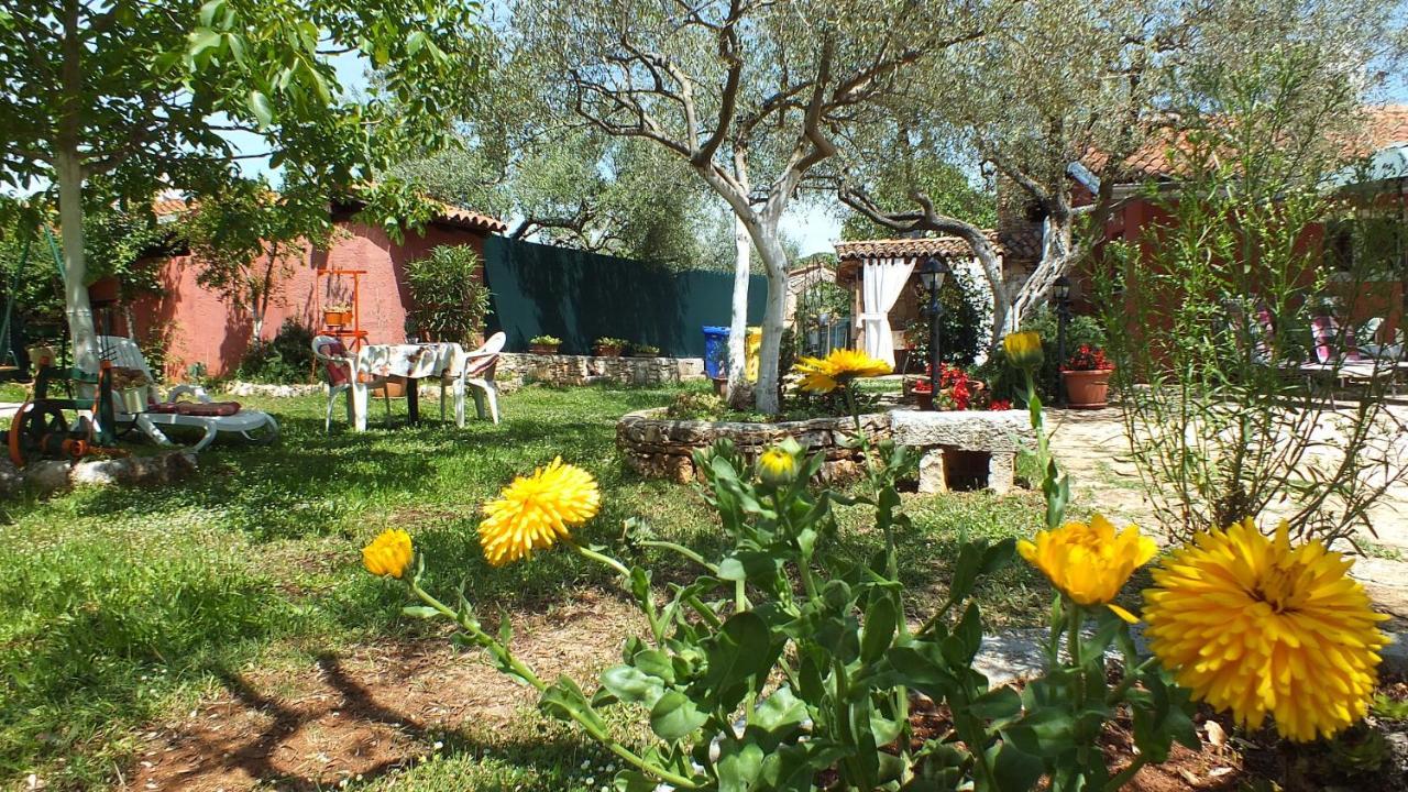 Casa Terren Grande Villa Rovinj Ngoại thất bức ảnh